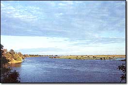 Chobe River