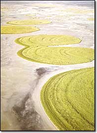 Makgadikgadi Salt Pans