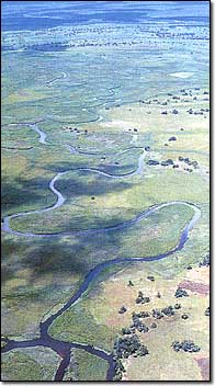 Okavango Delta